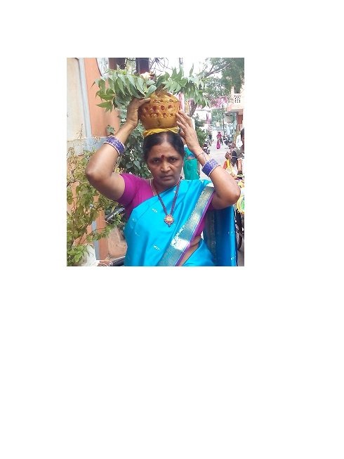 MEKALA VIJAYA LAXMI